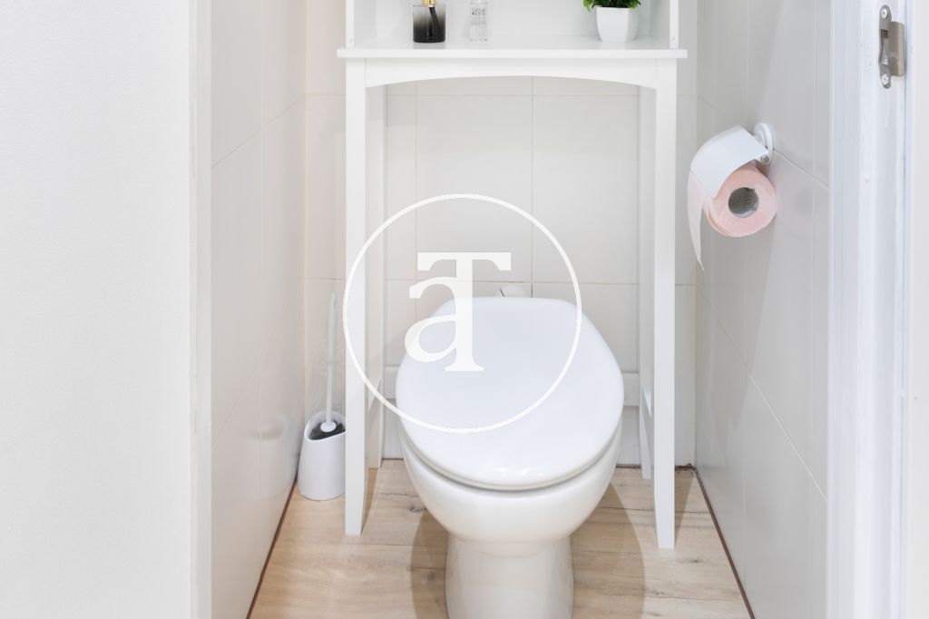 Monthly rental studio in the centre of Madrid 13