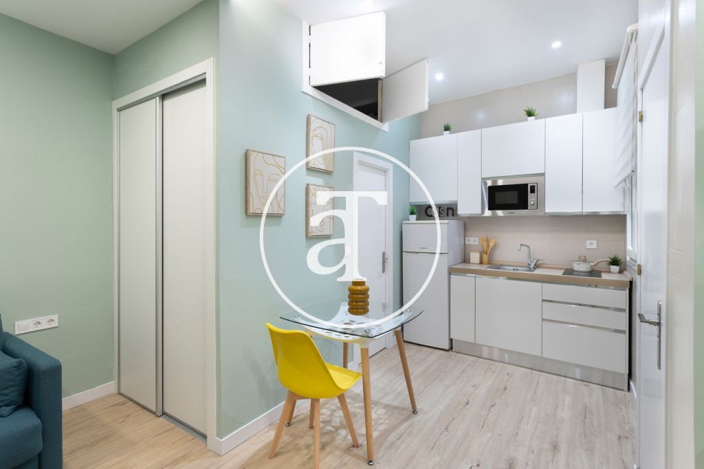 Monthly rental studio in the centre of Madrid 5