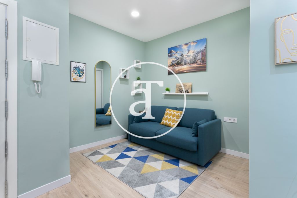 Monthly rental studio in the centre of Madrid 7