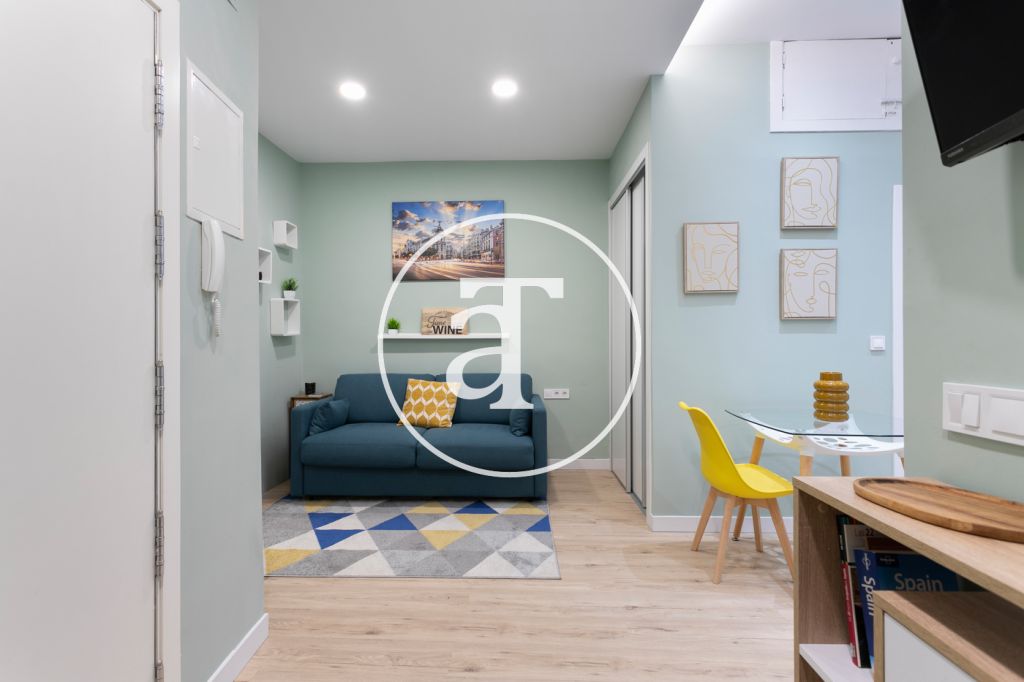 Monthly rental studio in the centre of Madrid 1