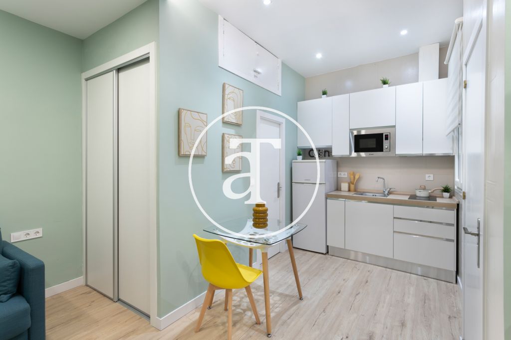 Monthly rental studio in the centre of Madrid 4