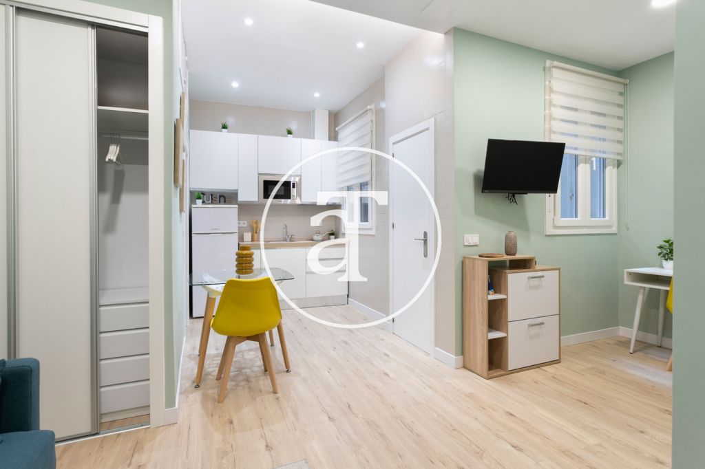 Monthly rental studio in the centre of Madrid 3
