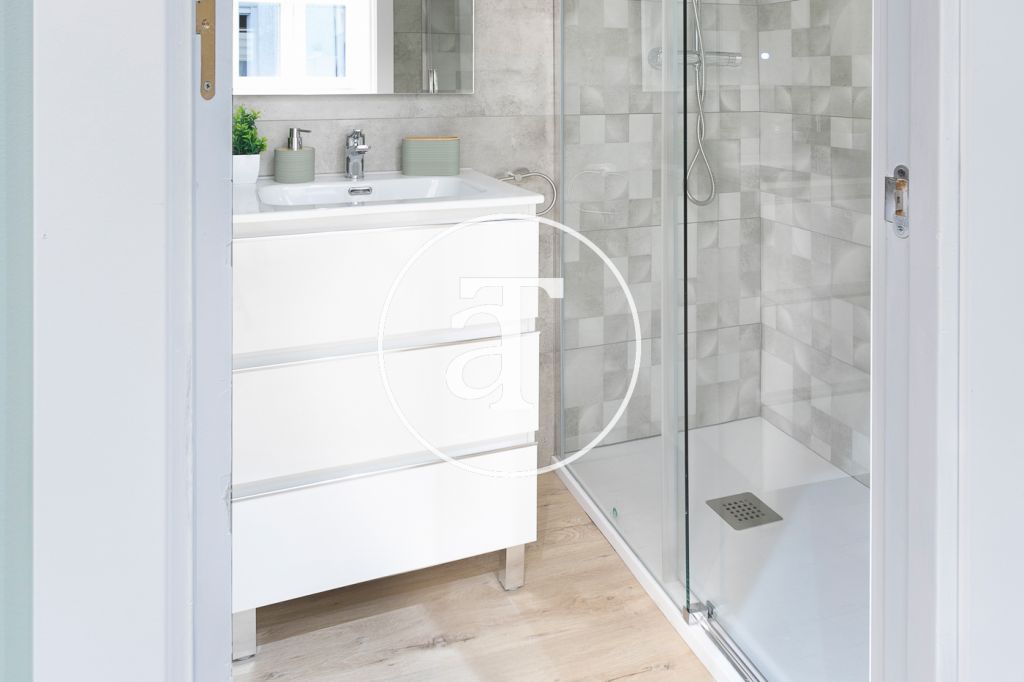 Monthly rental studio in the centre of Madrid 14