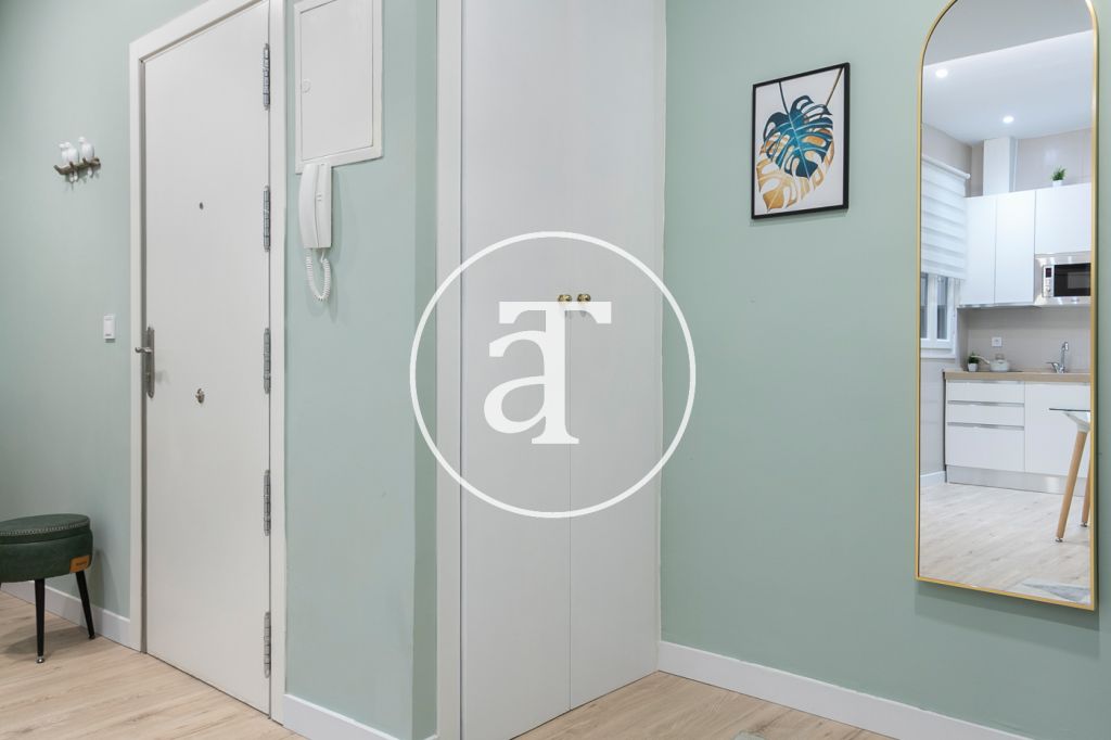 Monthly rental studio in the centre of Madrid 11