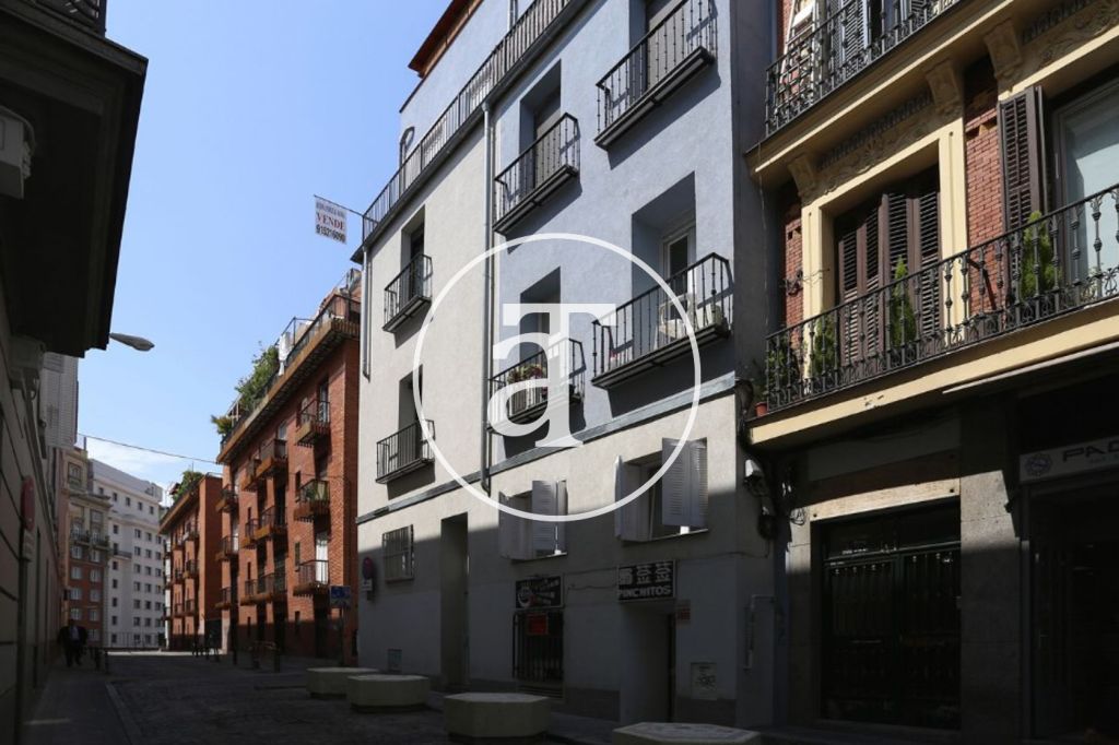 Monthly rental studio in the centre of Madrid 16