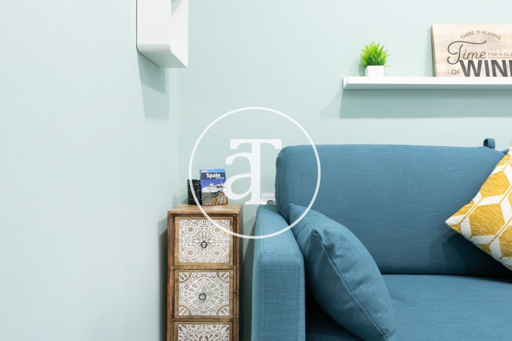 Monthly rental studio in the centre of Madrid 9