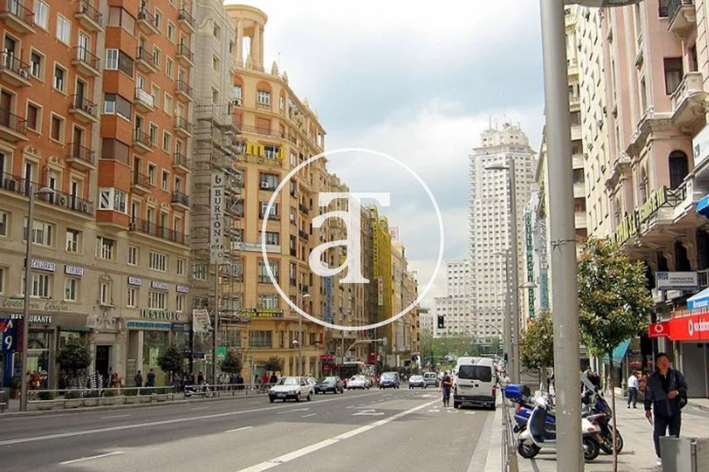 Monthly rental studio in the centre of Madrid 19