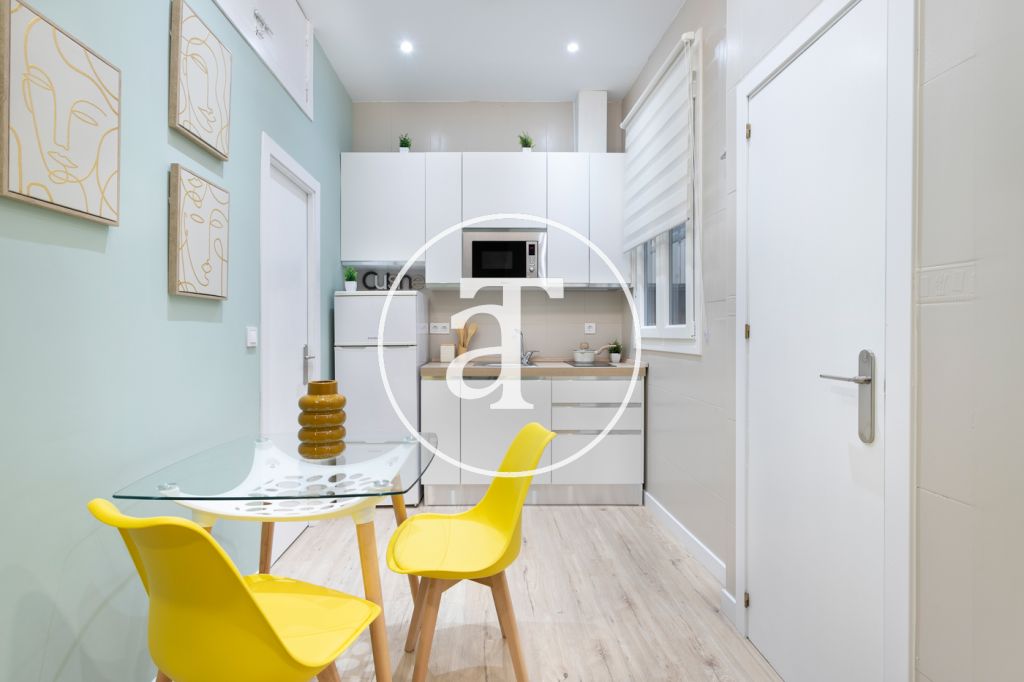 Monthly rental studio in the centre of Madrid 6