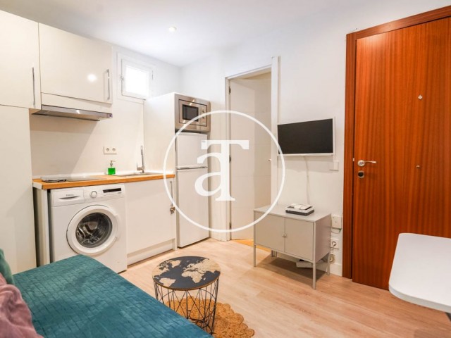 Monthly rental apartment with 1 bedroom in Lavapiés