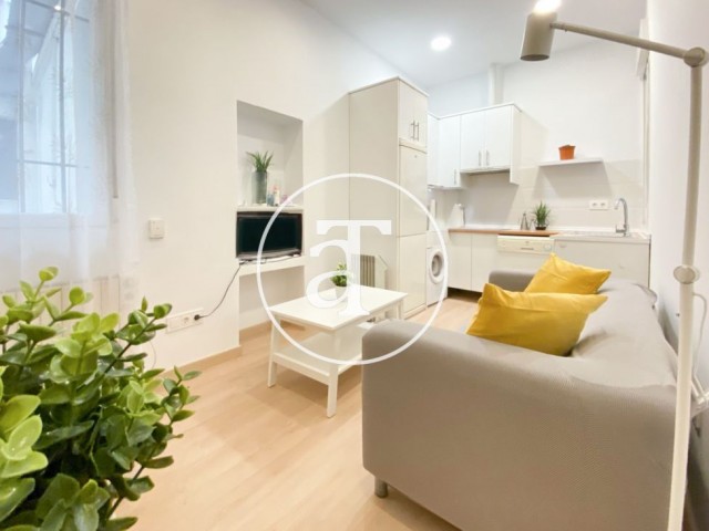 Monthly rental apartment with 1 bedroom and 1 bathroom very close to Gran Via